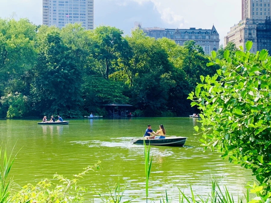 IMG_0662.jpg?type=w966