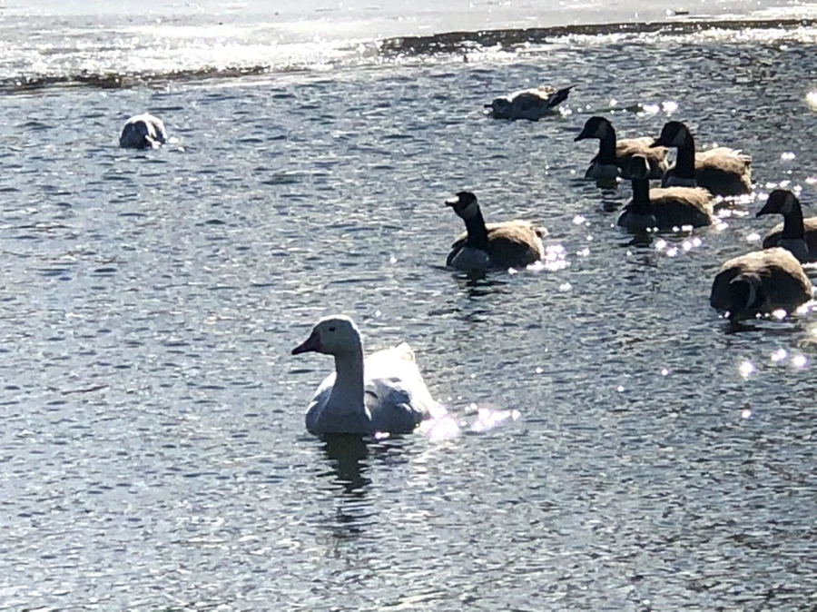 IMG_6713.jpg?type=w966