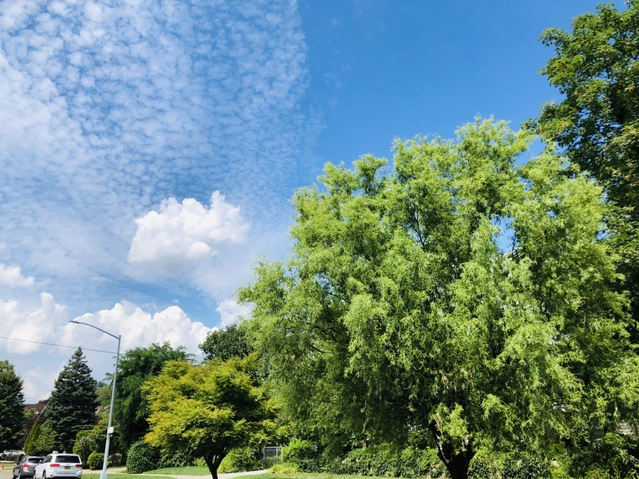 IMG_5250.jpg?type=w966