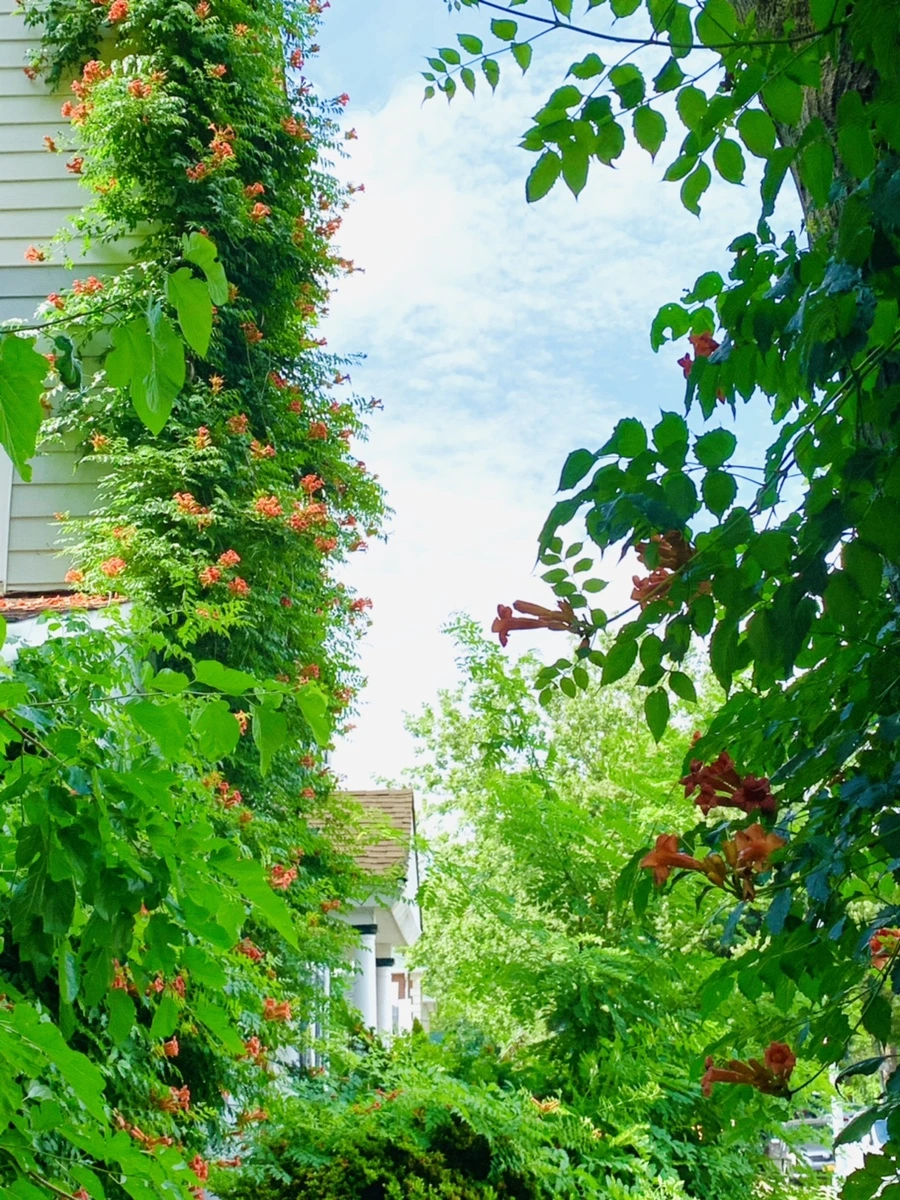 IMG_9612.jpg?type=w966