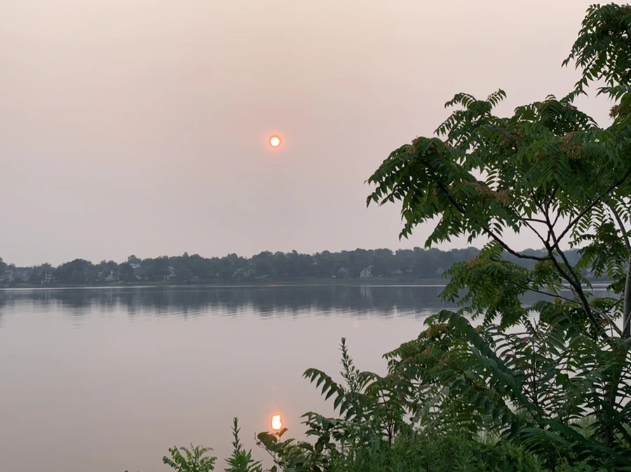 IMG_8110.jpg?type=w966