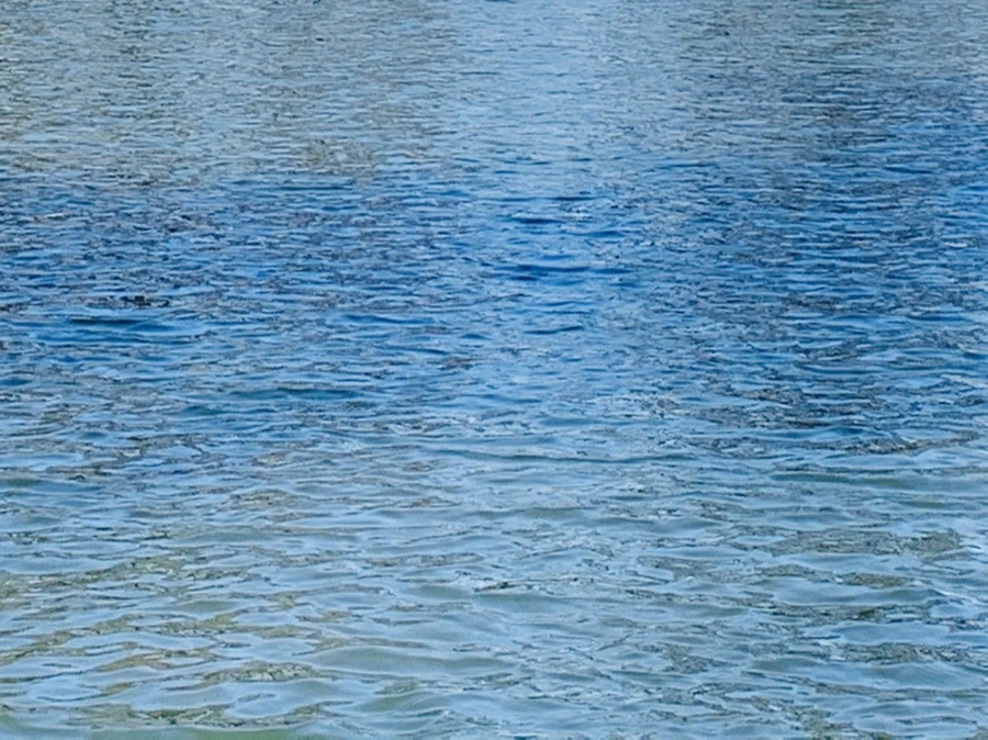 IMG_9880.jpg?type=w966