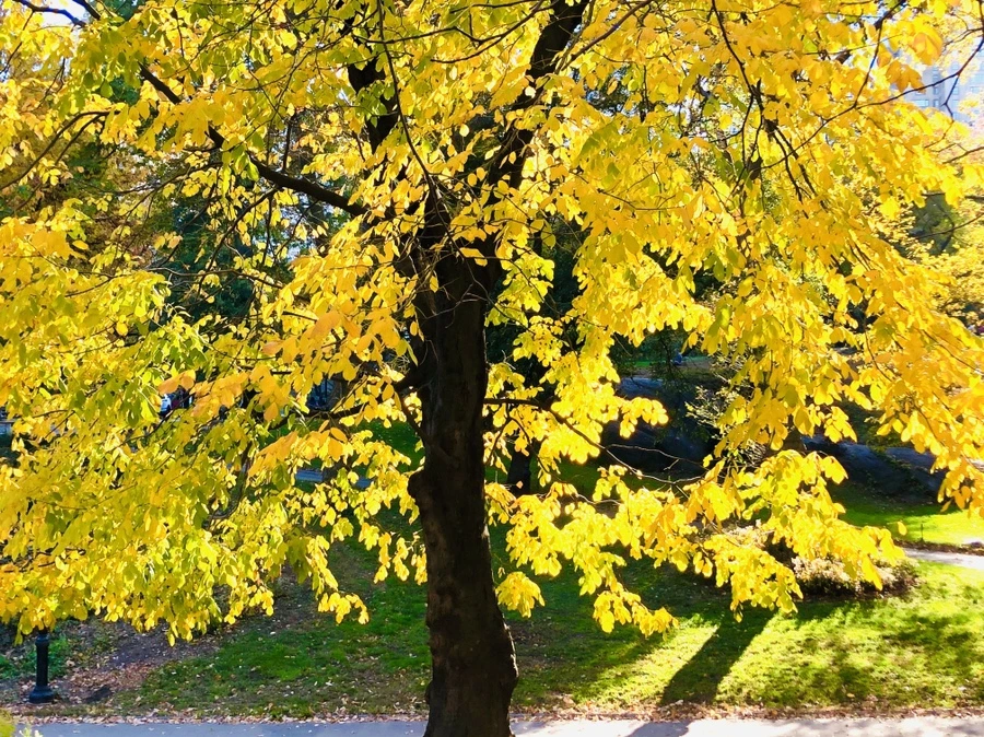 IMG_3443.jpg?type=w966