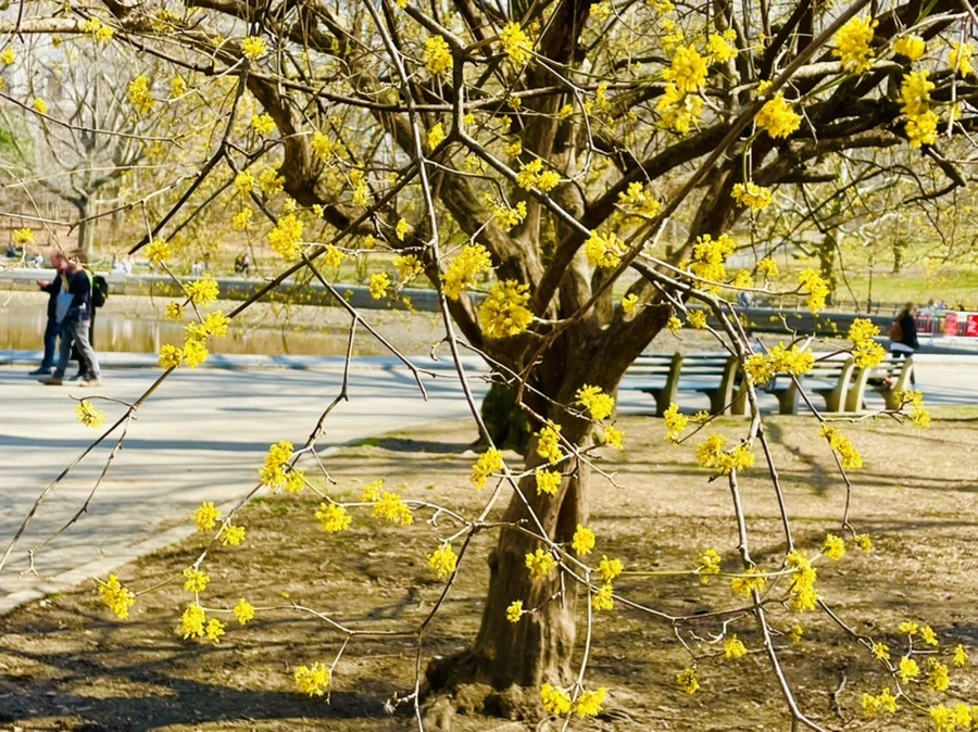 IMG_5567.jpg?type=w966