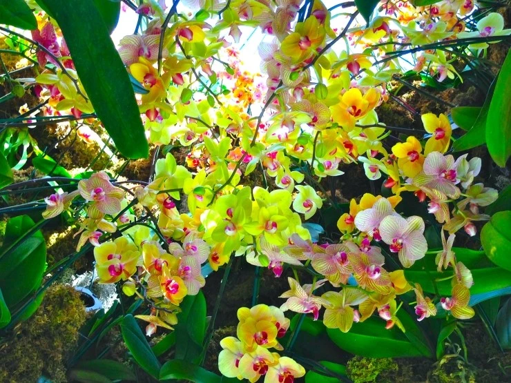 IMG_2928.JPG?type=w2