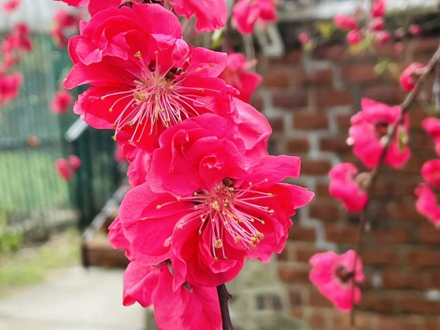 IMG_1281.jpg?type=w966