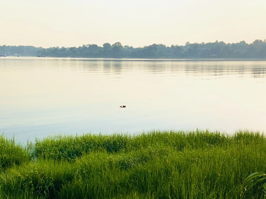 IMG_6461.jpg?type=w966