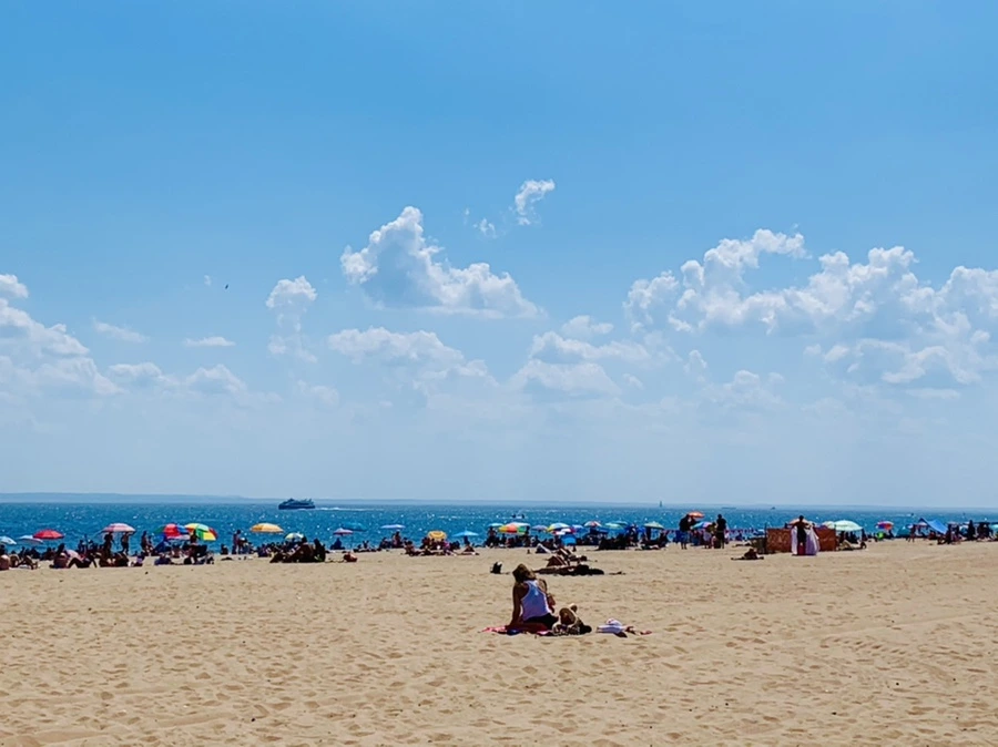 IMG_8835.jpg?type=w966