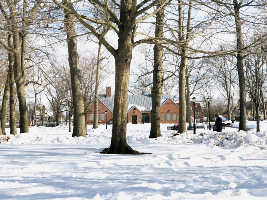 IMG_0102.jpg?type=w966