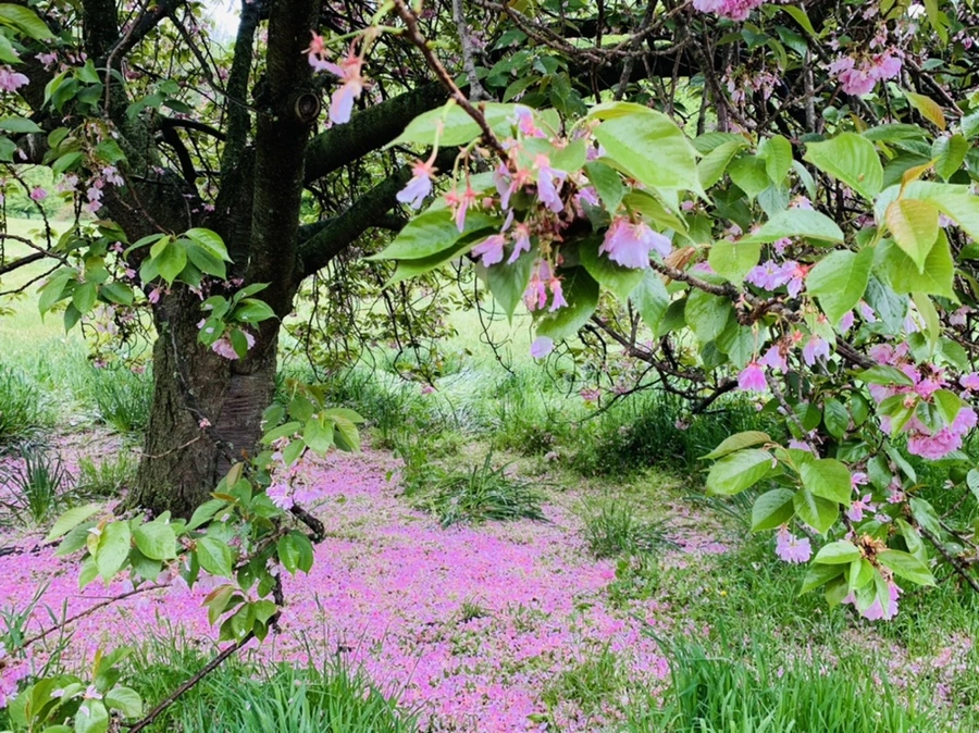 IMG_9880.jpg?type=w966