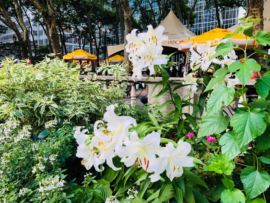 IMG_9747.jpg?type=w966