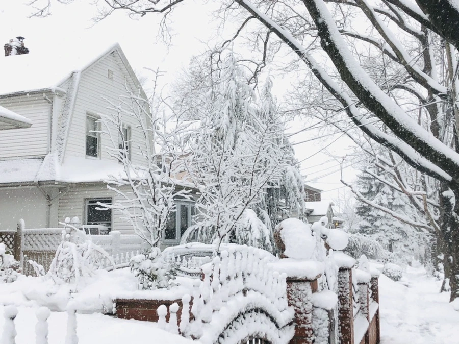 IMG_1064.jpg?type=w966