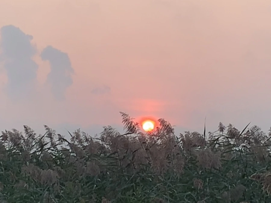 IMG_1080.jpg?type=w966