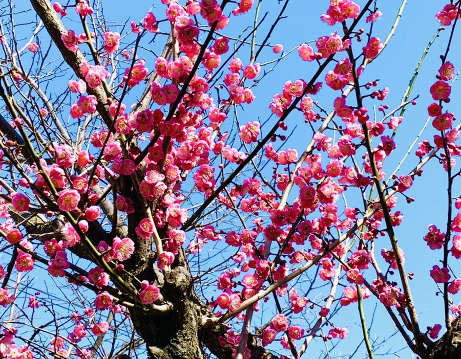 IMG_2998.jpg?type=w966