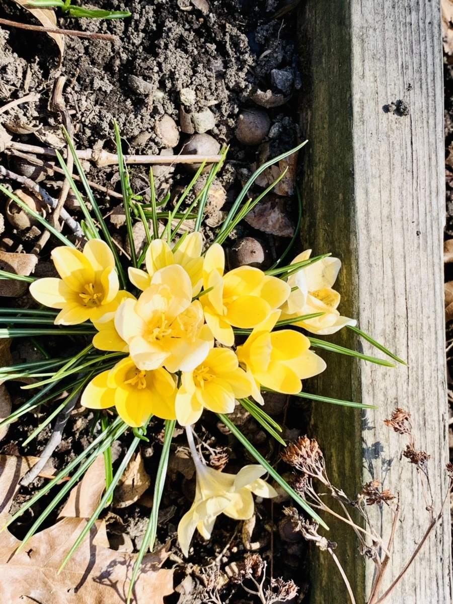 IMG_2884.jpg?type=w966