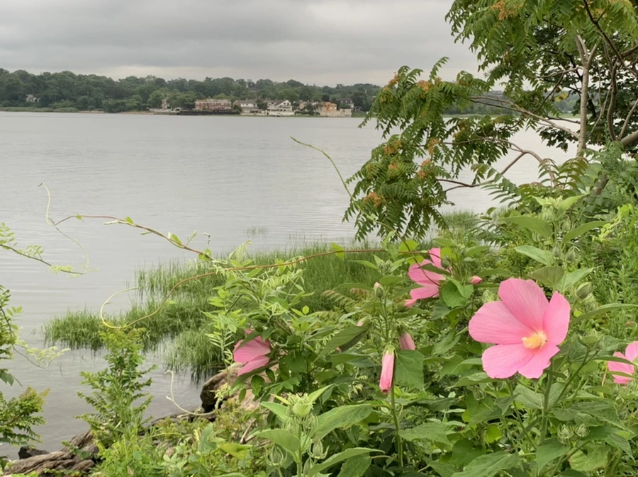 IMG_7131.jpg?type=w966