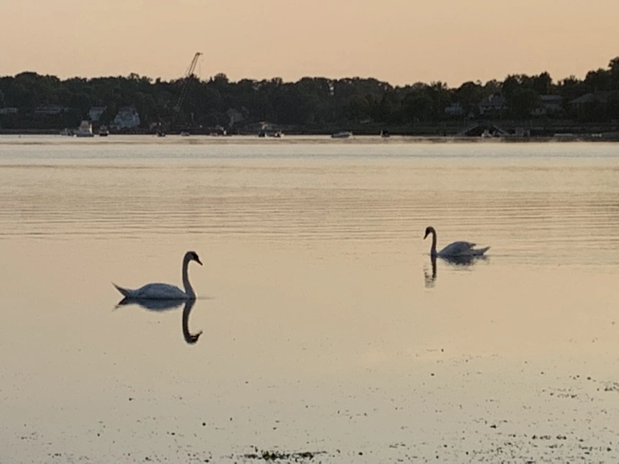 IMG_9691.jpg?type=w966