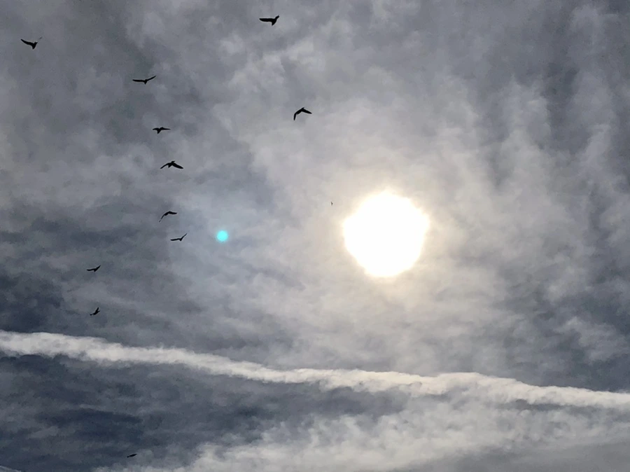 IMG_5734.jpg?type=w966