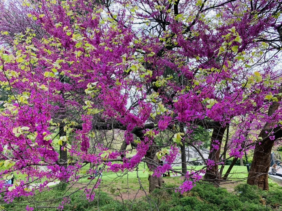 IMG_8759.jpg?type=w966