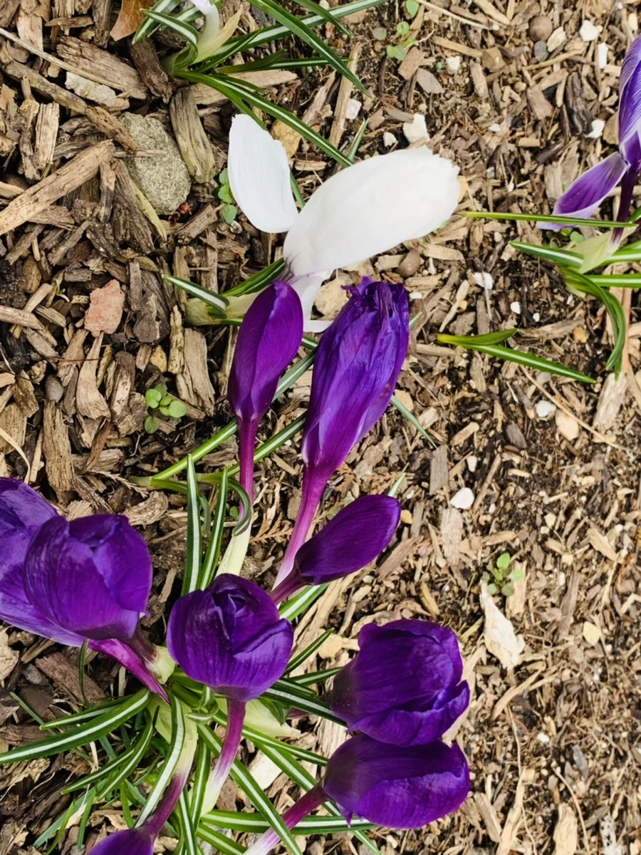 IMG_6634.jpg?type=w966