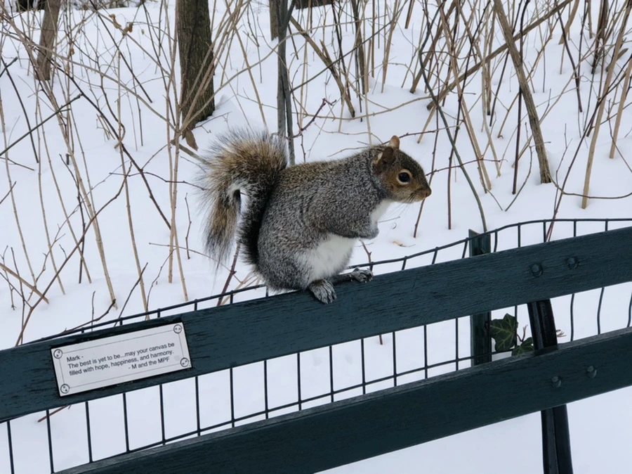 IMG_9514.jpg?type=w966