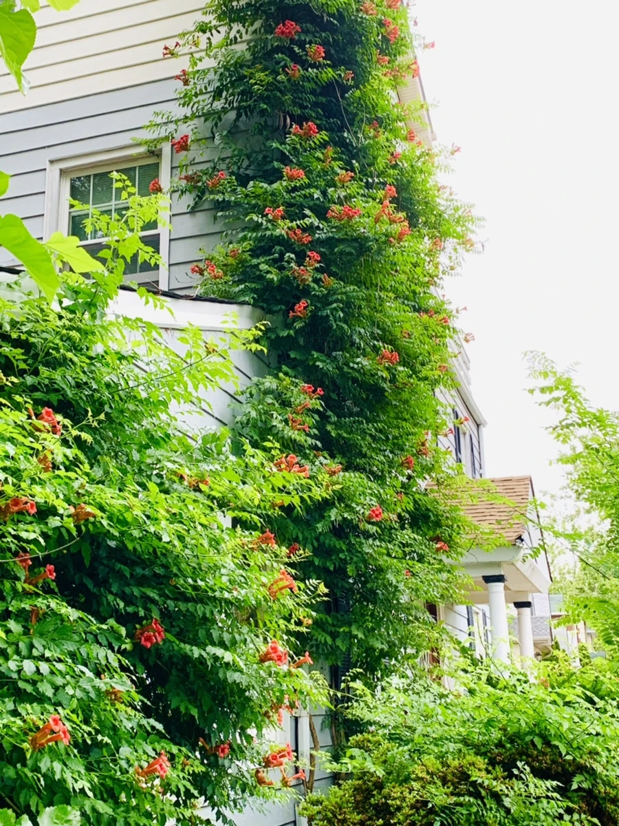 IMG_7140.jpg?type=w966