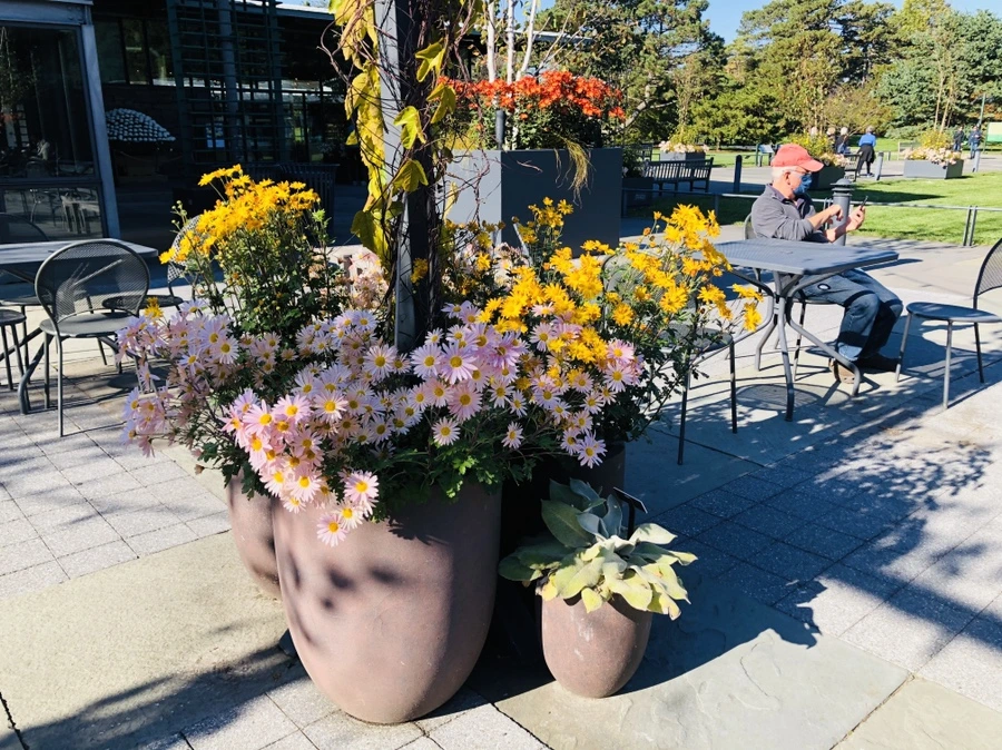 IMG_3346.jpg?type=w966