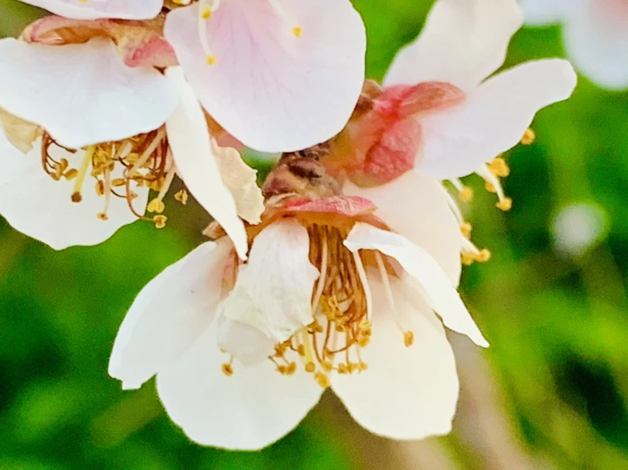 IMG_2814.jpg?type=w966