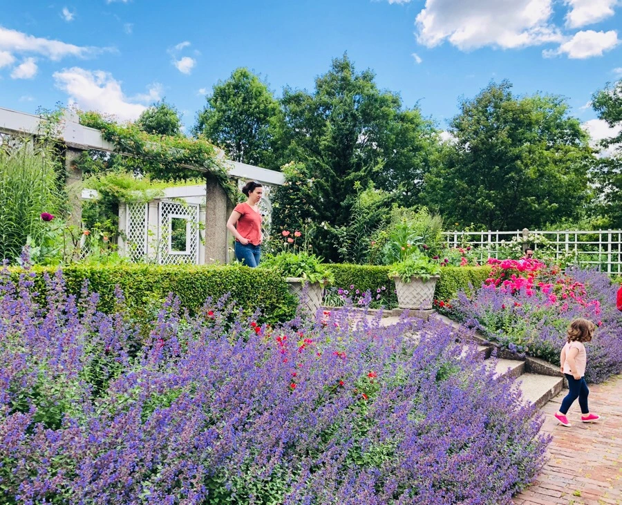 IMG_7898.jpg?type=w966