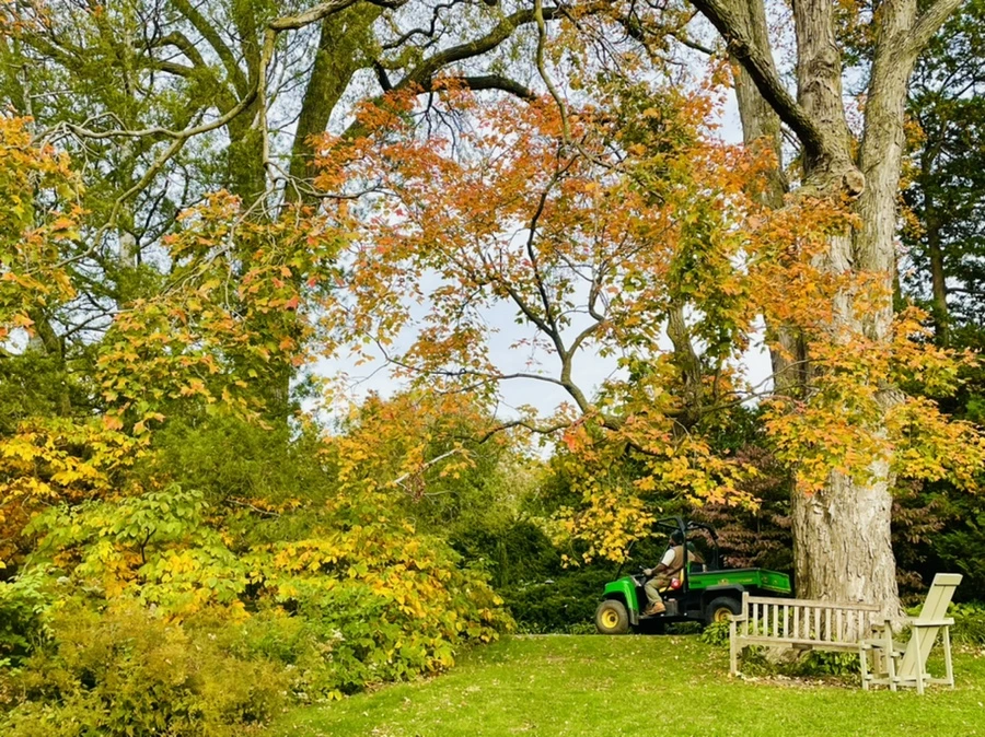 IMG_0387.jpg?type=w966