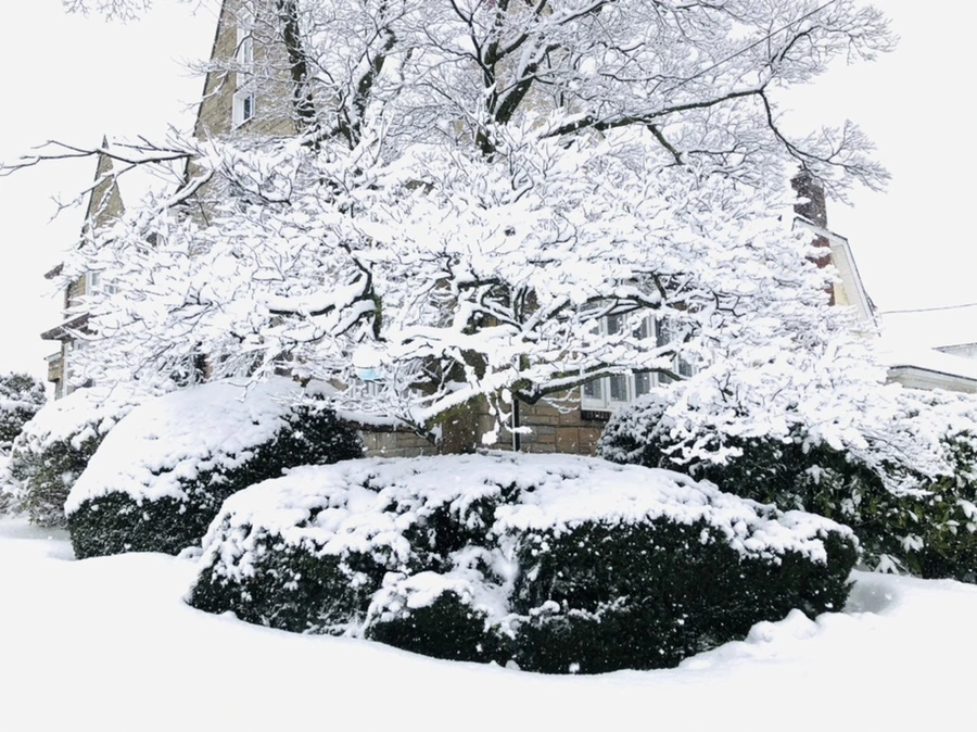 IMG_0974.jpg?type=w966