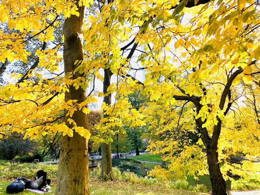 IMG_3435.jpg?type=w966