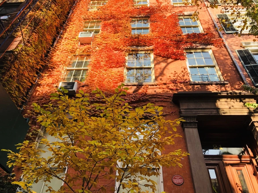 IMG_4029.jpg?type=w966