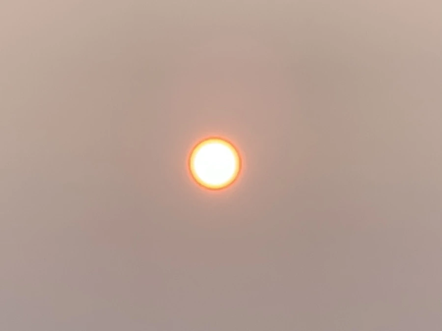 IMG_8163.jpg?type=w966