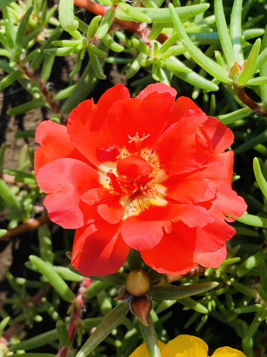 IMG_8397.jpg?type=w966