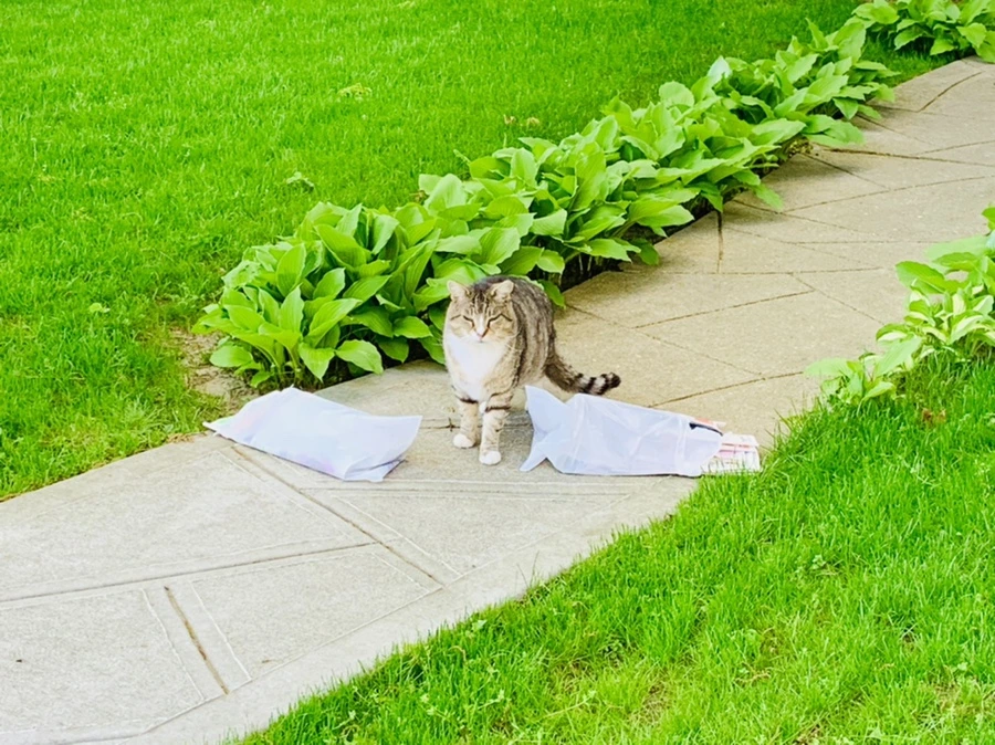 IMG_8214.jpg?type=w966