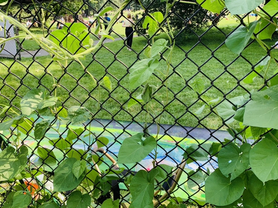 IMG_0622.jpg?type=w966