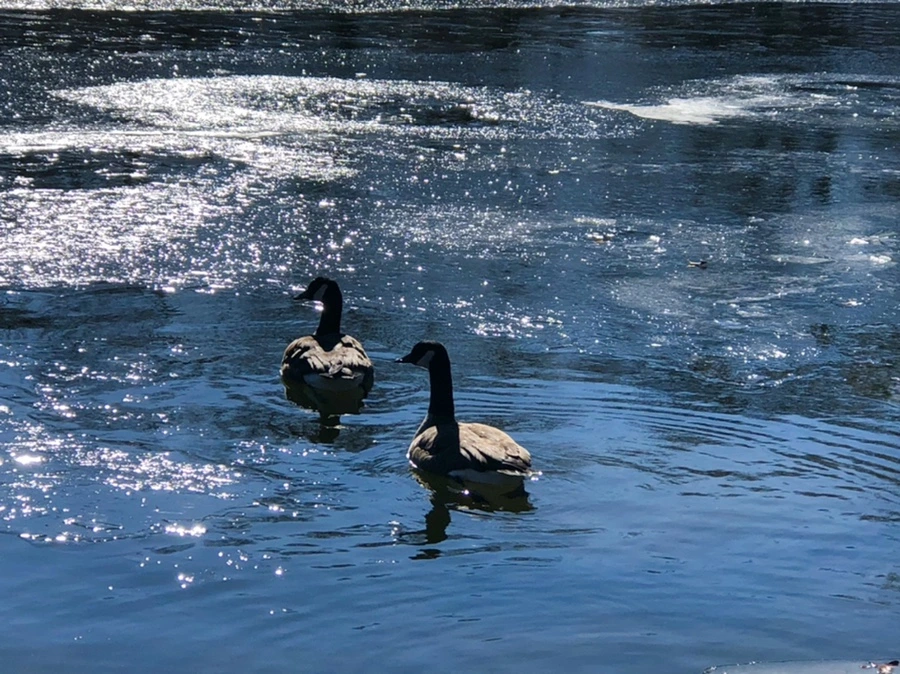 IMG_7775.jpg?type=w966