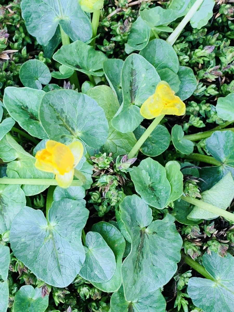 IMG_5330.jpg?type=w966