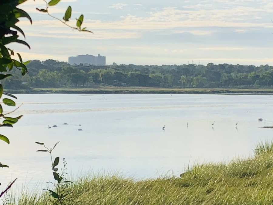 IMG_7785.jpg?type=w966