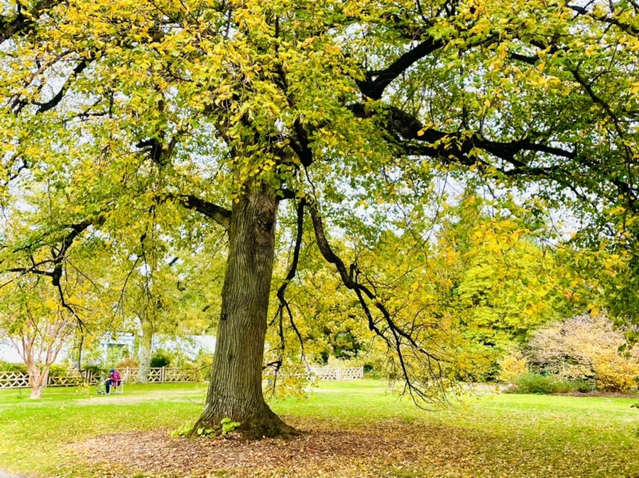 IMG_2321.jpg?type=w966