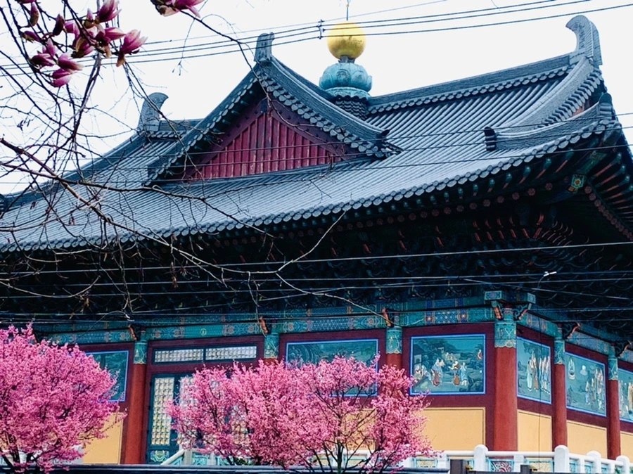 IMG_5307.jpg?type=w966