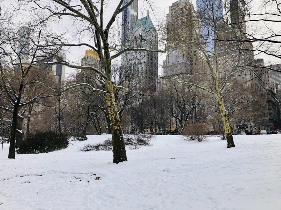 IMG_0384.jpg?type=w966