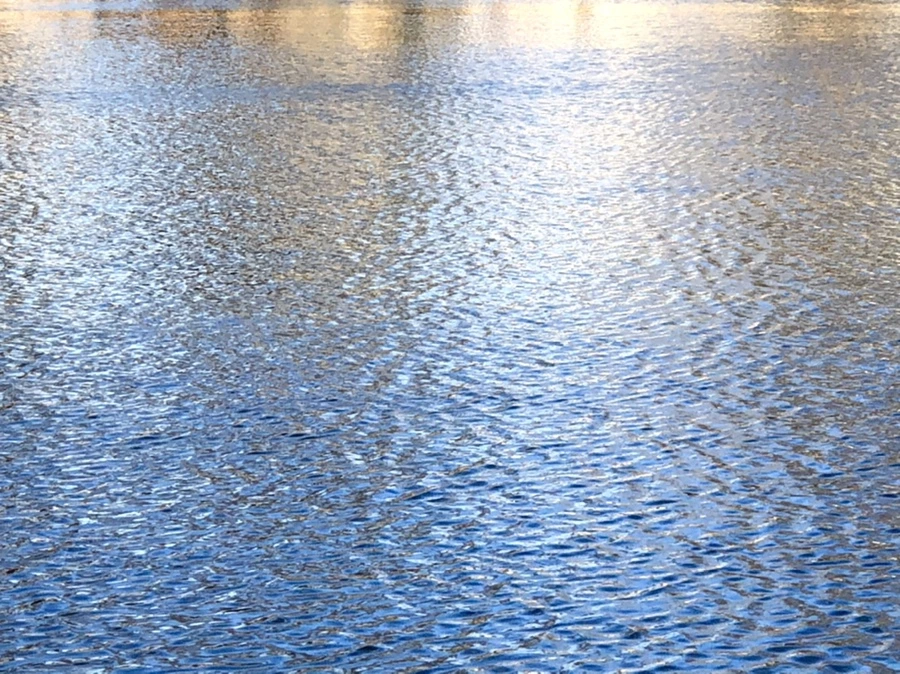 IMG_4074.jpg?type=w966