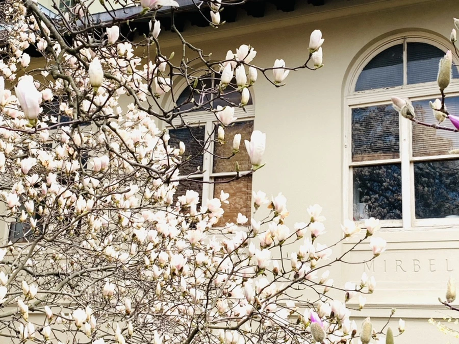 IMG_7196.jpg?type=w966