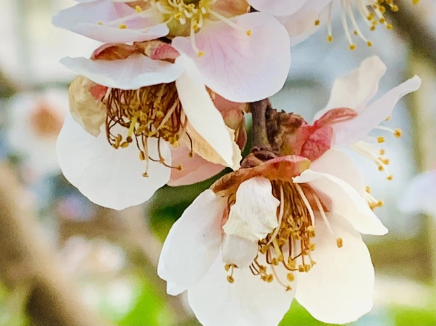 IMG_2815.jpg?type=w966