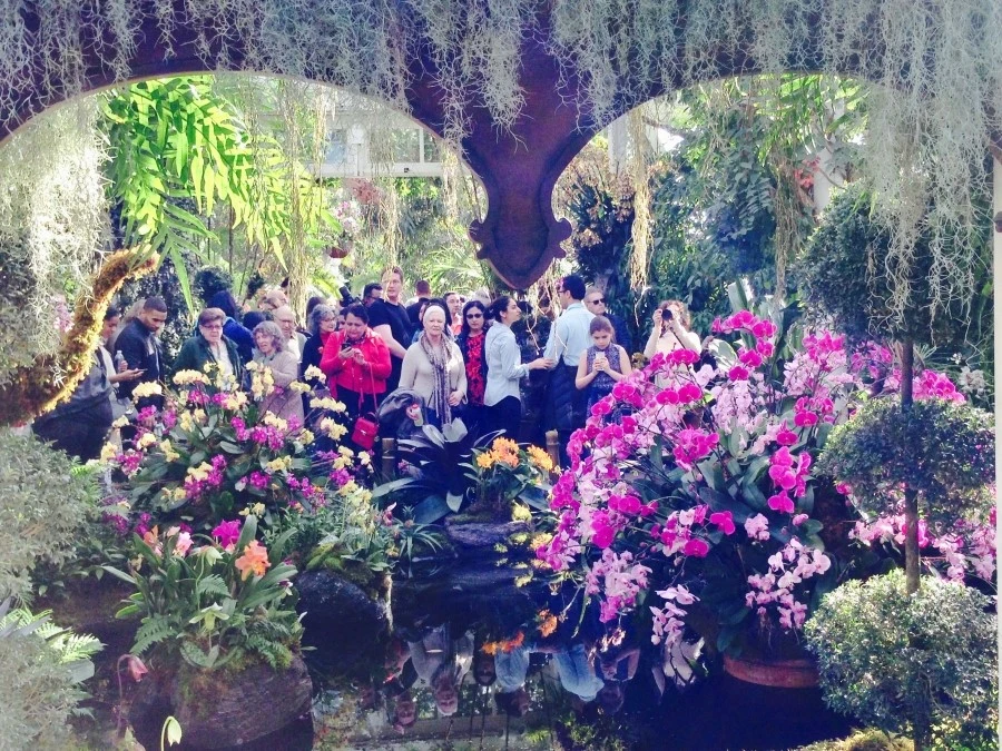 IMG_7375.jpg?type=w1