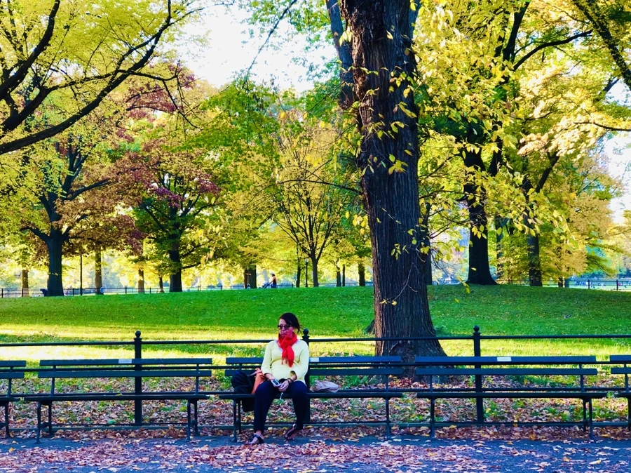 IMG_3631.jpg?type=w966