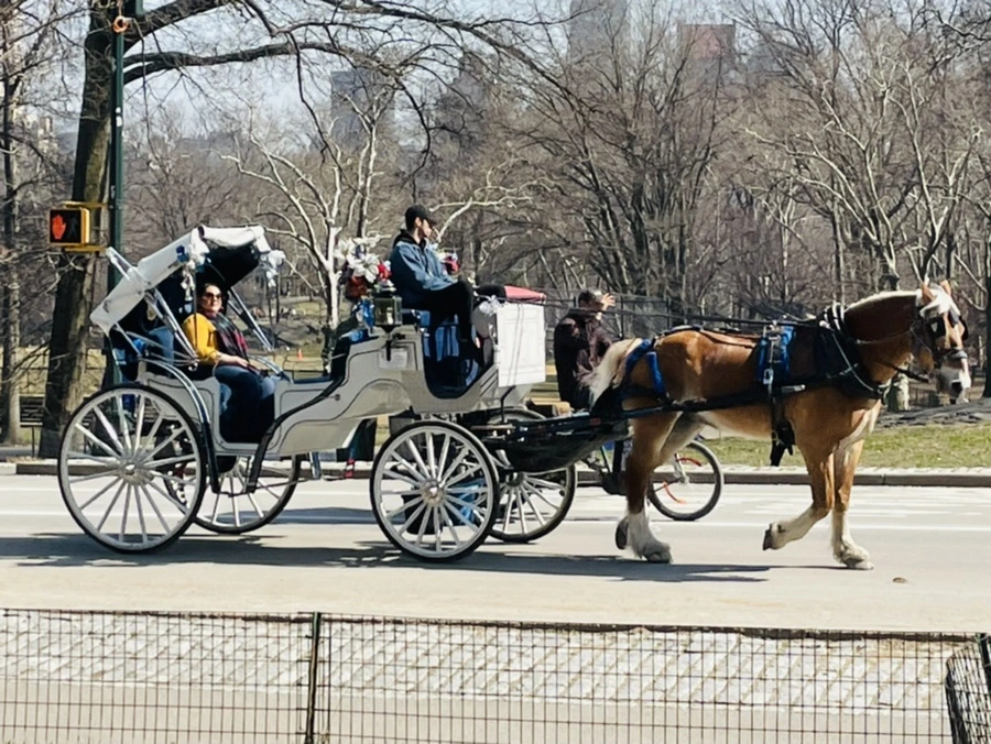 IMG_5472.jpg?type=w966