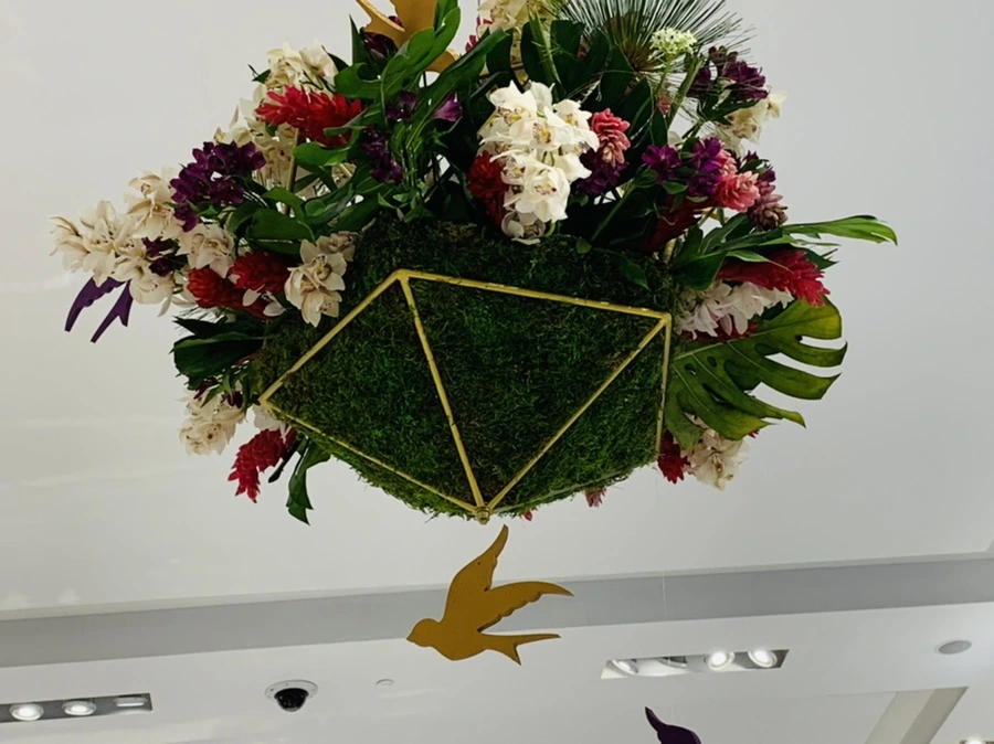 IMG_1562.jpg?type=w966